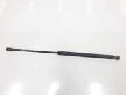 Gasdruckfedern Set Hinten 51812267 Fiat Bravo (198A) Schrägheck 1.4 16V LPG (192.B.2000) 2009