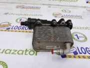 Kühler Automatik 17217803830 BMW 5 serie (E60) Limousine 530d 24V (M57N2-D30(306D3)) 2006