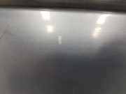 Tür Rechts Vorne 7751477220 Renault Scénic II (JM) Großraumlimousine 1.5 dCi 105 (K9K-732) 2008