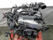 Motor COMPLEET DTSB Volkswagen Tiguan (AD1) SUV 2.0 TDI 16V BlueMotion Techn.SCR 4Motion (DTSB) 2020 DTSB