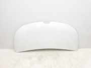 Motorhaube 651224338R Renault L1H1 29t Komfort