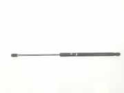 Gasdruckfedern Set Hinten 1666068 Ford 1.6 EcoBoost (182 CV) 2015