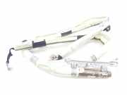 Vorhang Airbag Rechts VOOR A1178601202 Mercedes-Benz MERCEDES SE 2.1 CDI (170 CV) 2014