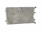 Radiator 1J0121253N Seat Leon (1M1) Schrägheck 5-drs 1.9 TDI 110 (ASV) 2002