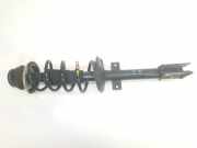 Stoßdämpfer Links Hinten 543020142R Dacia Duster (SR) SUV 1.6 16V 4x4 (H4M-729(H4M-D7)) 2018