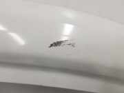 T?r Rechts Vorne 801005445R Renault Trafic Passenger (1JL/2JL/3JL/4JL) Bus 1.6 dCi 125 Twin Turbo (R9M-452) 2018