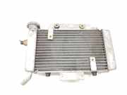 Radiator RADIADOR BMW iX3 SUV 80 kWh (HA0001N0)