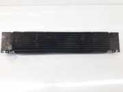 Ladeluftkühler 1347700080 Fiat Ducato (250) Van 2.2 D 100 Multijet Euro 4 (P22DTE(4HV)) 2006