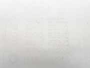 Scheibenwaschbehälter 28910EB500 Nissan Navara (D40) Pick-up 2.5 dCi 16V 4x4 (YD25DDTi)