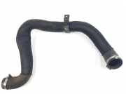 Intercooler Schlauch 9806720880 Citroën Jumpy Van 2.0 Blue HDI 120 (AHK) 2016