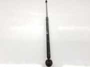 Gasdruckfeder Set Vorne 654710003R Renault III BERLINA 5 P 1.6 16V (101 CV) 2011
