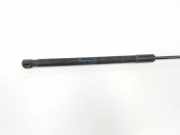 Gasdruckfedern Set Hinten 6R6827550A Volkswagen Polo V (6R) Schrägheck 1.6 TDI 16V 90 (CAYB) 2012 CAYB