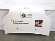 Motorhaube 1448864 Ford Transit Connect Van 1.8 TDCi 90 (HCPA) 2006