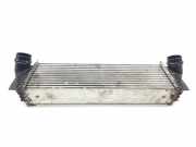 Ladeluftkühler 17517812016 BMW 5 serie (F10) Limousine 535d xDrive 24V (N57-D30B)