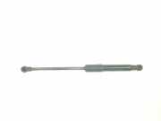 Gasdruckfeder Set Vorne 654705053R Renault Trafic (1FL/2FL/3FL/4FL) Van 1.6 dCi 95 (R9M-413) 2018
