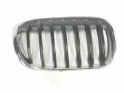 Grill 51137354824 BMW X1 (F48) SUV xDrive 18d 2.0 16V (B47-C20A) 2017