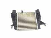 Ladeluftkühler 8200471885 Renault Clio III (BR/CR) Schrägheck 1.2 16V TCe 100 (D4F-784) 2007