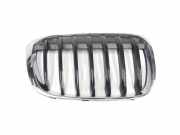 Grill 51137354824 BMW X1 (F48) SUV xDrive 18d 2.0 16V (B47-C20A) 2017