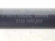 Gasdruckfeder Vorne 51231960852 BMW 3 serie (E36/4) Limousine 318i (M43-B18(184E2)) 1994