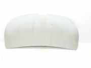 Motorhaube 651224338R Renault L1H1 29t Komfort