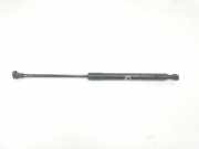 Gasdruckfeder Vorne 7060550 BMW SERIE 3 TOURING 2.0 16V D (163 CV) 2007