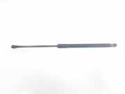 Gasdruckfedern Set Hinten 51247239871 BMW 1 serie (F20) Schrägheck 5-drs 118d 2.0 16V (N47-D20C) 2013