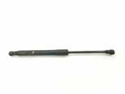 Gasdruckfeder Set Vorne 51237008745 BMW 5 serie (E60) Limousine 525d 24V (256D2) 2005