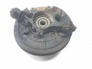 Achsschenkel Halter Rechts Hinten RLH500020 Land + Range Rover Range Rover Sport (LS) Geländewagen 2.7 TDV6 24V (276DT)