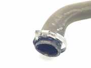 Turbo Leitung 9821687780 Peugeot Expert (V1/VA/VB/VE/VF/VT/VY) Van 1.5 BlueHDi 100 (DV5RUCd(YHR))