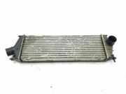 Ladeluftkühler 8200411160 Renault II FURGÓN L1H1 290t Caja cerrada corto 2006