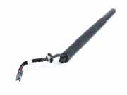 Gasdruckfeder Hinten 7441799 BMW X5 (G05) SUV xDrive 30d 3.0 24V (B57-D30A)