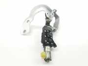 Gasdruckfedern Set Hinten 8W9827852A Audi A4 Avant (B9) Kombi 3.0 TDI V6 24V Quattro (CRTC) 2016