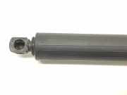 Gasdruckfedern Set Hinten 670181846 Maserati Levante SUV SUV 2.0 GT Mild Hybrid Q4 16V (670053115) 2022