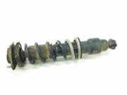 Stoßdämpfer Links Hinten 20365SG110 Subaru Forester (SJ) SUV 2.0t 16V XT (FA20)