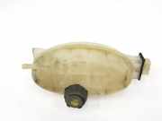 Ausgleichbehälter 217100015R Renault Trafic New (FL) Van 2.0 dCi 16V 115 (M9R-782) 2009