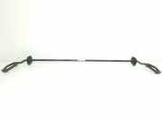 Stabilisatorstange Hinten 33506859894 BMW X1 (F48) SUV xDrive 18d 2.0 16V (B47-C20A(Euro 6)) 2017