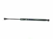 Gasdruckfeder Hinten 51247250308 BMW 3 serie (E90) Limousine 320d 16V (N47-D20C) 2010