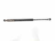 Gasdruckfedern Set Hinten 51248254281 BMW 3 serie (E46/4) Limousine 330d 24V (M57-D30(306D1)) 2000