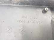 Lüfter Kühler 1253C1 Peugeot Boxer (244) Van 2.2 HDi (DW12TED(4HY)) 2005