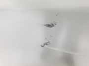 Tür Links Vorne 801010179R Renault L1H1 29t Komfort