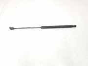 Gasdruckfeder Hinten A1699800764 Mercedes-Benz B (W245) Schrägheck 2.0 B-200 CDI 16V (OM640.941) 2006