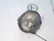 Nebelscheinwerfer Rechts 63176920886 BMW X5 (E53) SUV 3.0d 24V (M57N-D30(306D2)) 2005