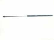Gasdruckfeder Set Vorne 654710003R Renault Megane III Grandtour (KZ) Kombi 5-drs 1.5 dCi 110 (K9K-636(K9K-A6)) 2012