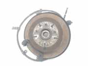 Achsschenkel Links Hinten 527102B000 Hyundai Santa Fe II (CM) SUV 2.2 CRDi 16V 4x4 (D4EB) 2006
