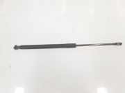 Gasdruckfedern Set Hinten 6896002081 Toyota Auris (E15) Schrägheck 1.6 Dual VVT-i 16V (1ZRFAE) 2011