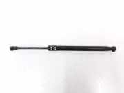 Gasdruckfeder Hinten 51247250308 BMW 3 serie (E90) Limousine 320d 16V (N47-D20C) 2007