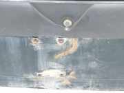 Heckklappe 901000X033 Nissan Terrano II (R20/TR50) Geländewagen 2.7 TDi (TD27TI) 2004