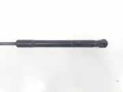 Gasdruckfedern Set Hinten 8E5827552K Audi A4 (B7) Limousine 3.0 TDI V6 24V Quattro (ASB) 2006