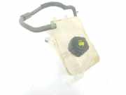 Ausgleichbehälter 217100005R Renault Megane III Berline (BZ) Schrägheck 5-drs 1.2 16V TCE 115 (H5F-400(H5F-A4)) 2012