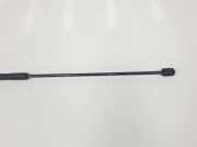 Gasdruckfeder Vorne 8T0823359 Audi S5 (8T3) Coupé 4.2 V8 40V (CAUA) 2009